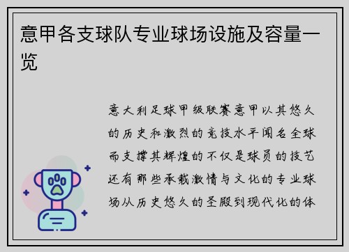 意甲各支球队专业球场设施及容量一览