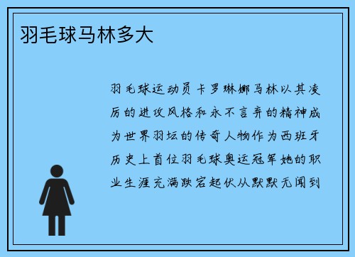羽毛球马林多大